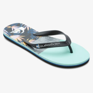 QUIKSILVER MOLOKAI PANEL ΣΑΓΙΟΝΑΡΕΣ ΑΝΔΡΙΚΕΣ AQYL101263-XKBS ΠΟΛΥΧΡΩΜΟ